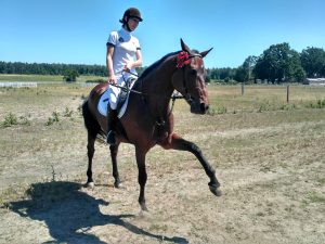 конь и наездница комплекс «Сокіл».