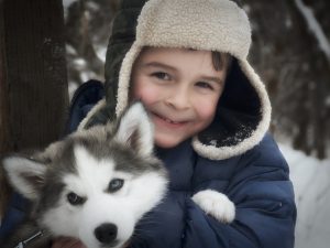 ребенок и щенок хаски