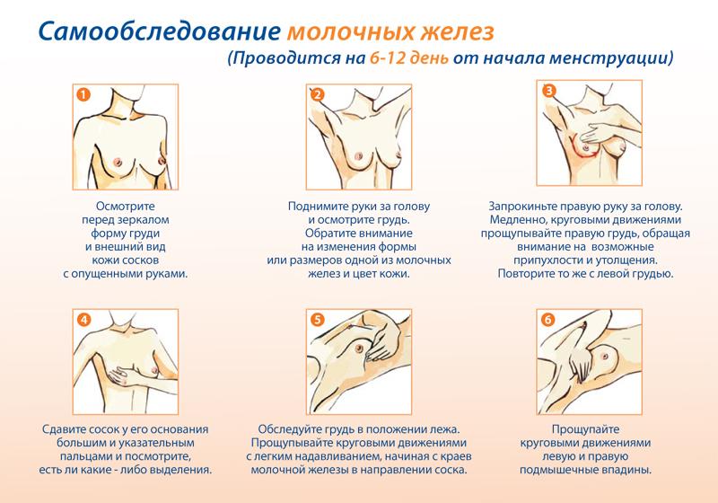 обследование молочных желез